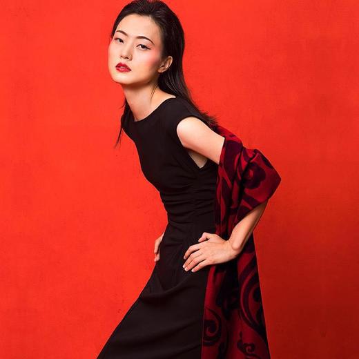 （永久下架）【祈福2018】万事利祈福彩新品 万福天下 年货节期间赠送一条价值198元的祈福颂彩 商品图2