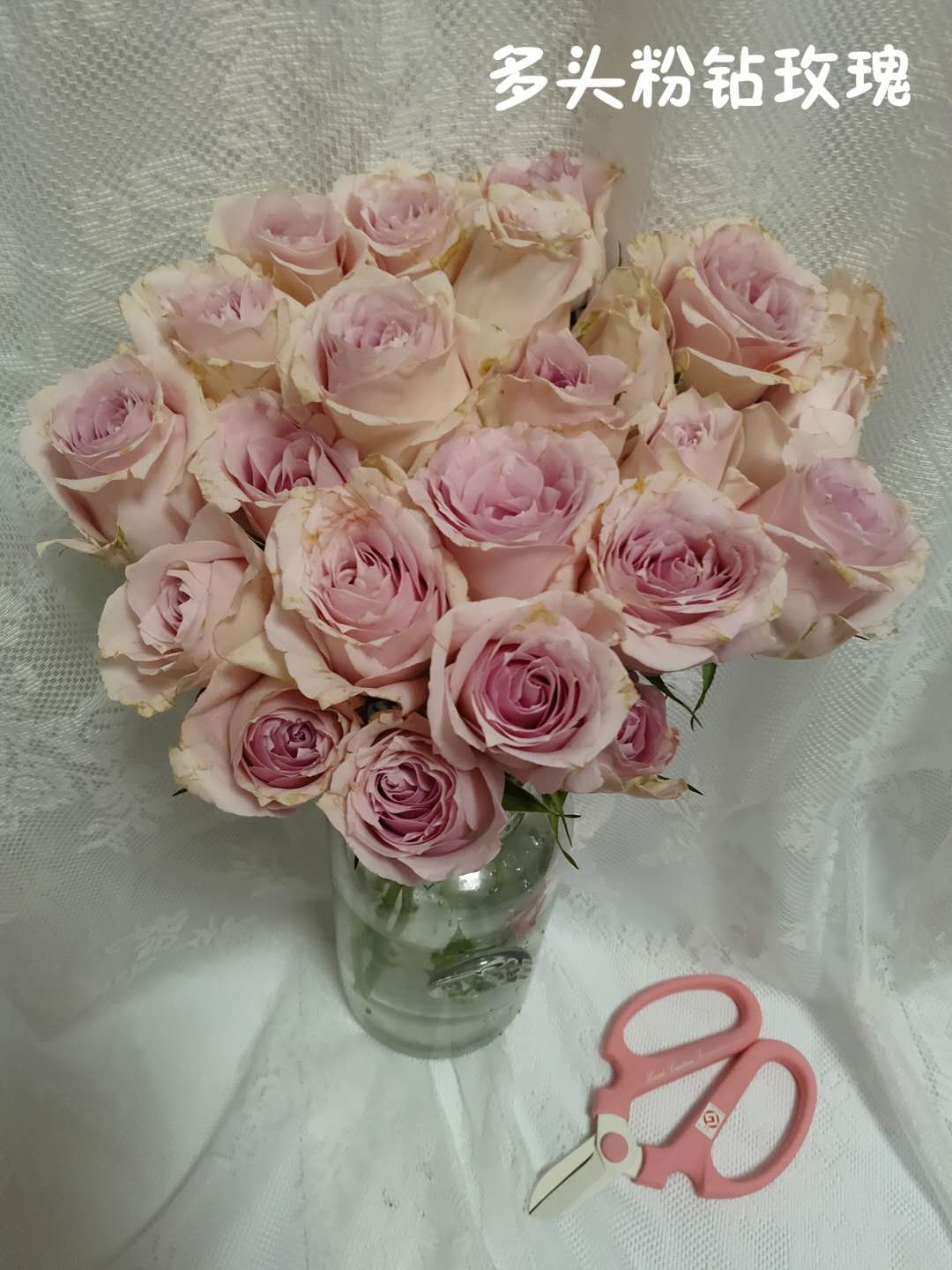 【昆明直发】国产多头玫瑰:粉钻,9枝