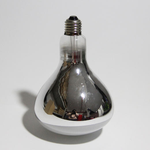 美肤灯柔光灯泡（白色） 商品图3