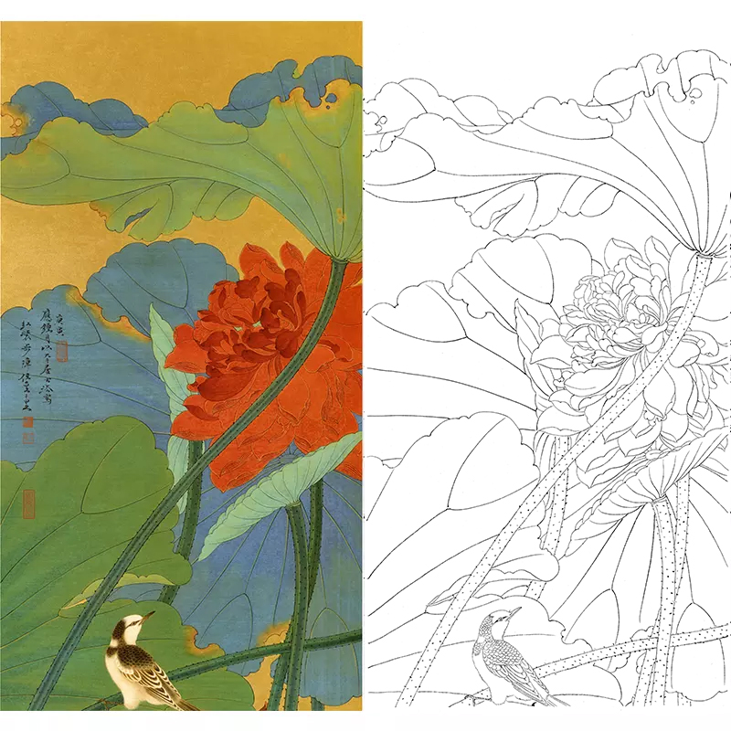 白描底稿任重工笔花鸟荷花xv12