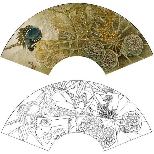工笔花鸟白描底稿-莲蓬扇面小品-A358 商品图0