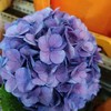 复古迷你绣球混装一件，一件10枝，花头12-13公分，枝条40公分！混装颜色随机 商品缩略图1