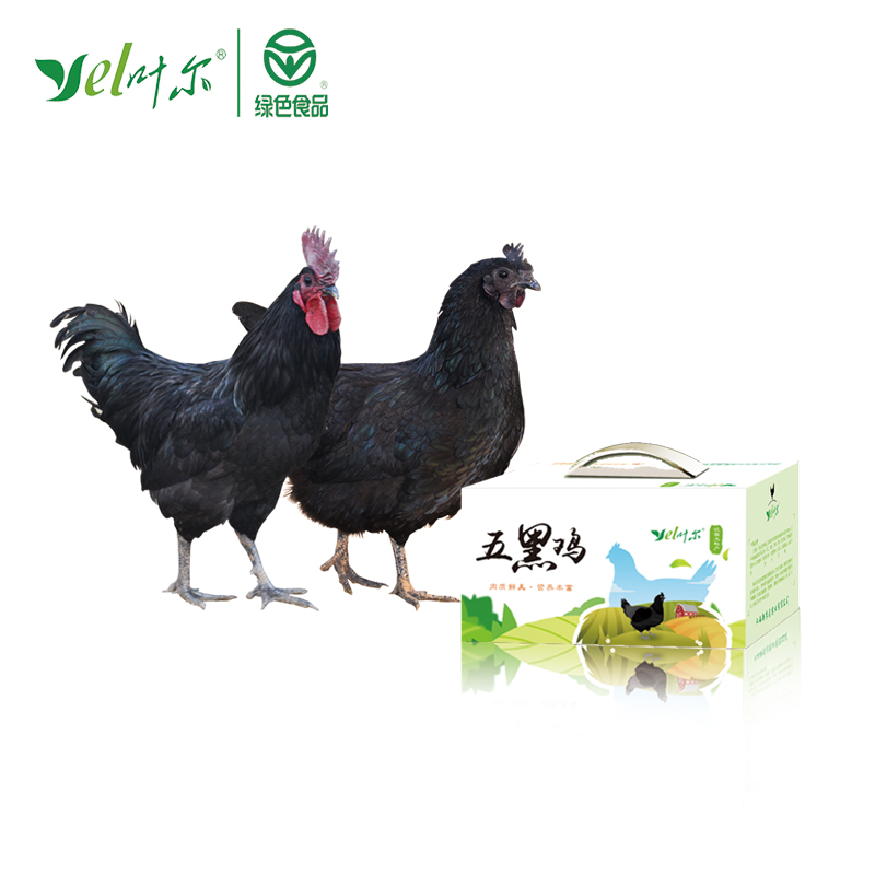 叶尔富硒五黑鸡