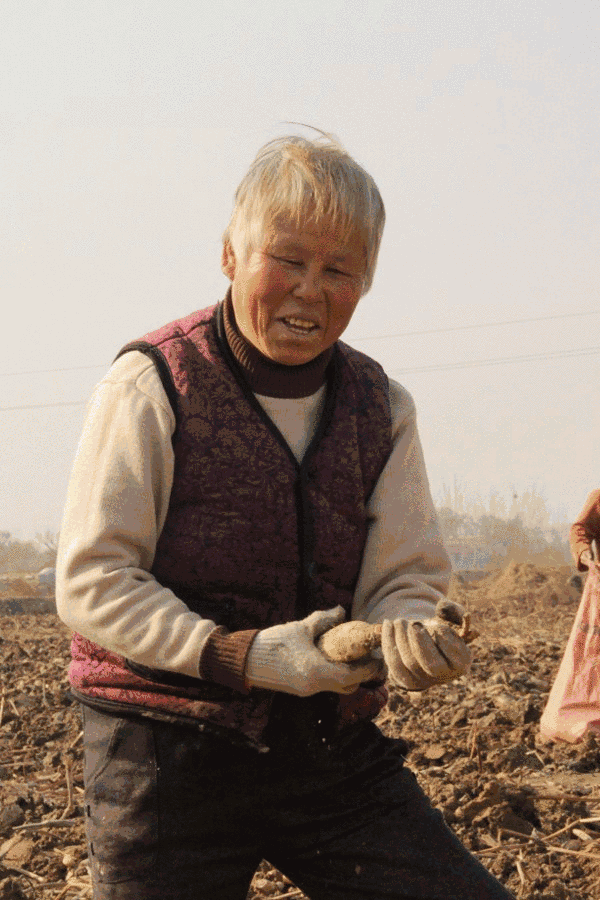 对于城市里的人们来说,吃藕只是偶尔一顿农家菜,但是对于藕乡的人们来