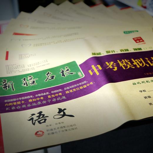 中考冲刺 必备 三轮复习方案 商品图2