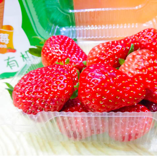 博苑农场种植鲜草莓 商品图2