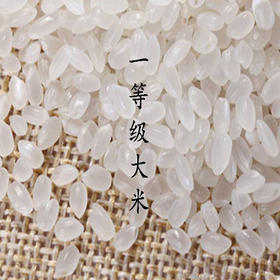 随便啦