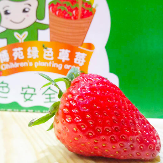 博苑农场种植鲜草莓 商品图1