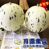 （永久下架）月露蜜瓜 商品缩略图0