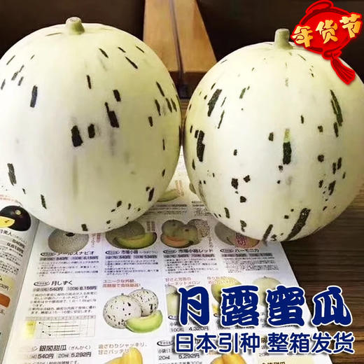 （永久下架）月露蜜瓜 商品图0