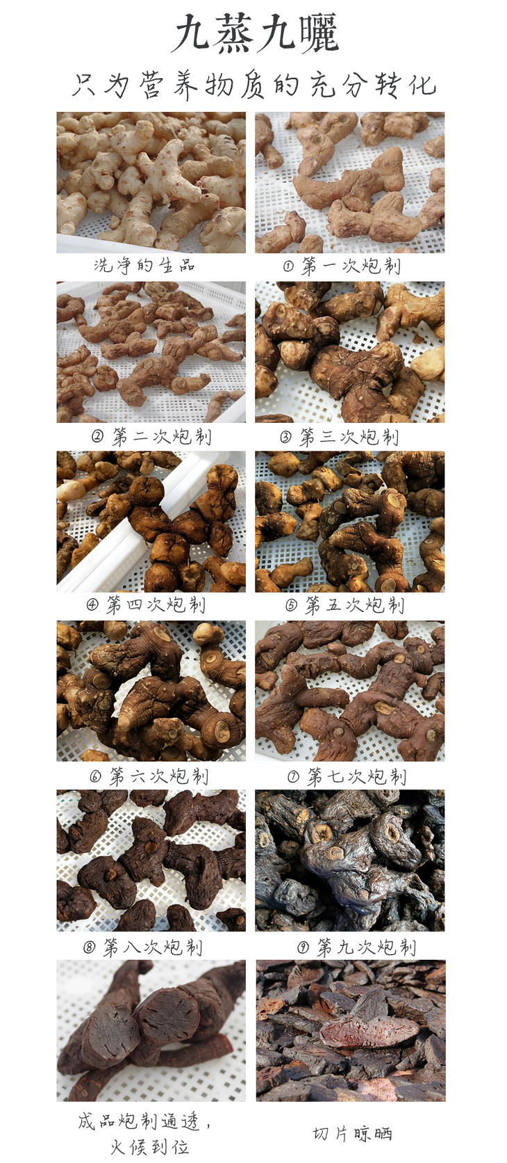 九制黄精 古法玉竹