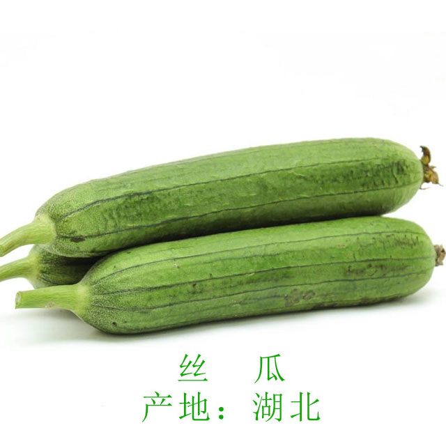 丝瓜