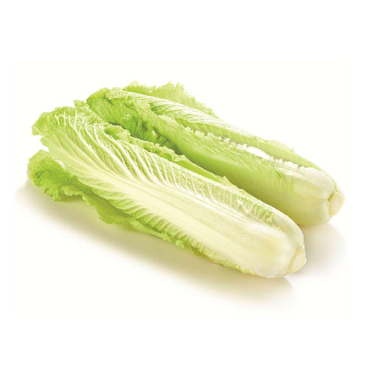 竹筒白