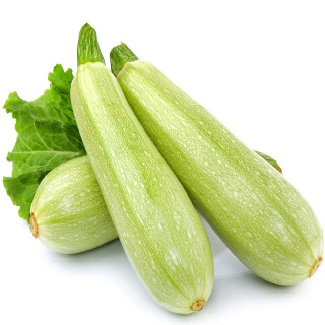 当日采摘 西葫芦 500g