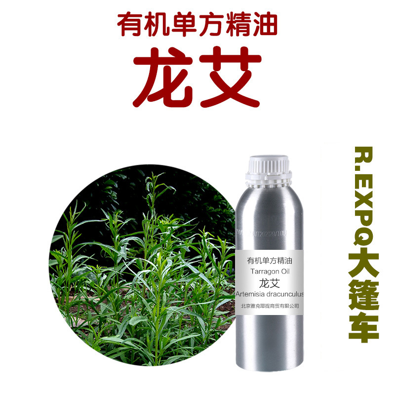 龙蒿龙艾精油tarragon oil 进口单方精油批发 oem