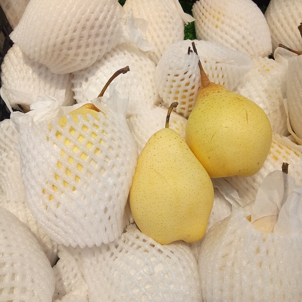 水晶梨 水果