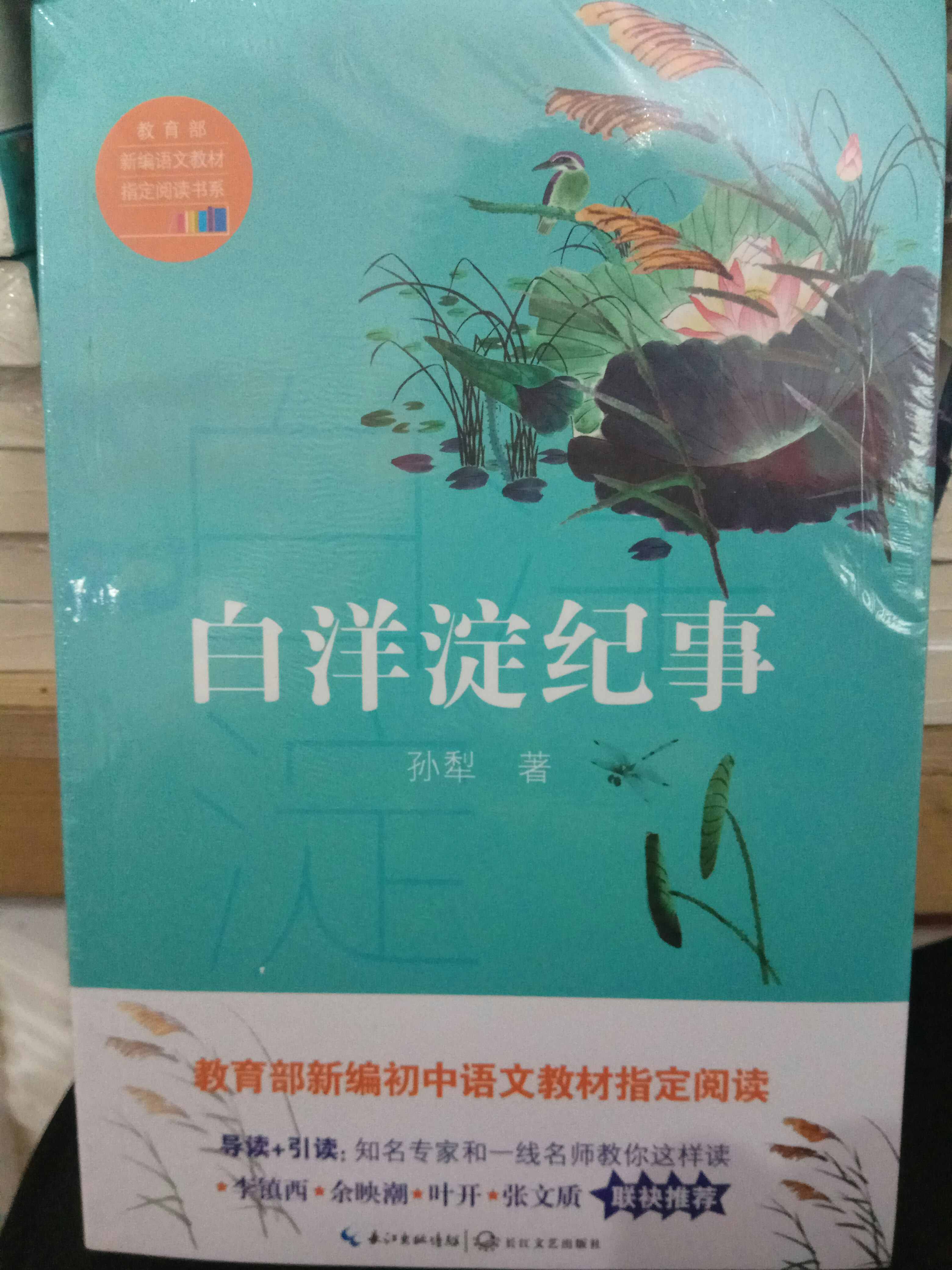 白洋淀纪事