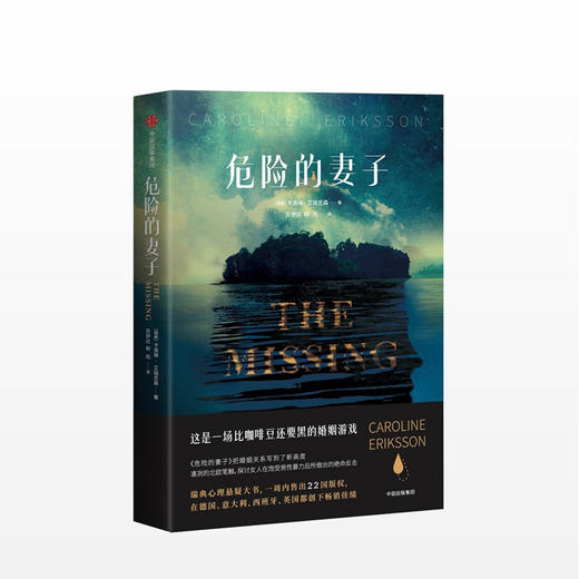 危险的妻子 [The Missing] 这是一场比咖啡豆还要黑的婚姻游戏。瑞典心理悬疑大作。 商品图0