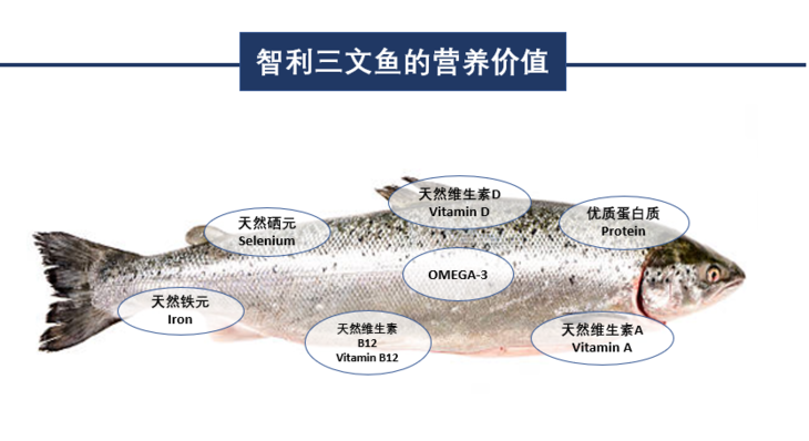 智利三文鱼的鱼苗和养殖技术,自多年前从三文鱼养殖产业的鼻祖挪威