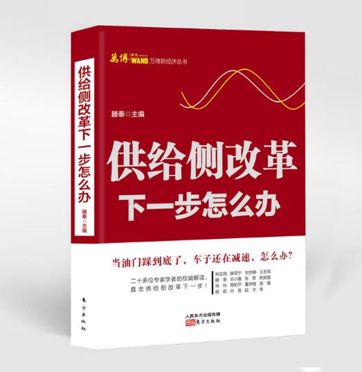 供给侧改革：下一步怎么办 商品图0