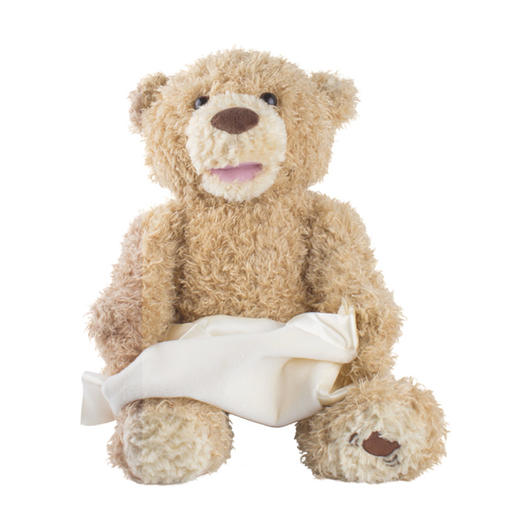 美国BabyGund 躲猫猫小熊毛绒玩偶 商品图1