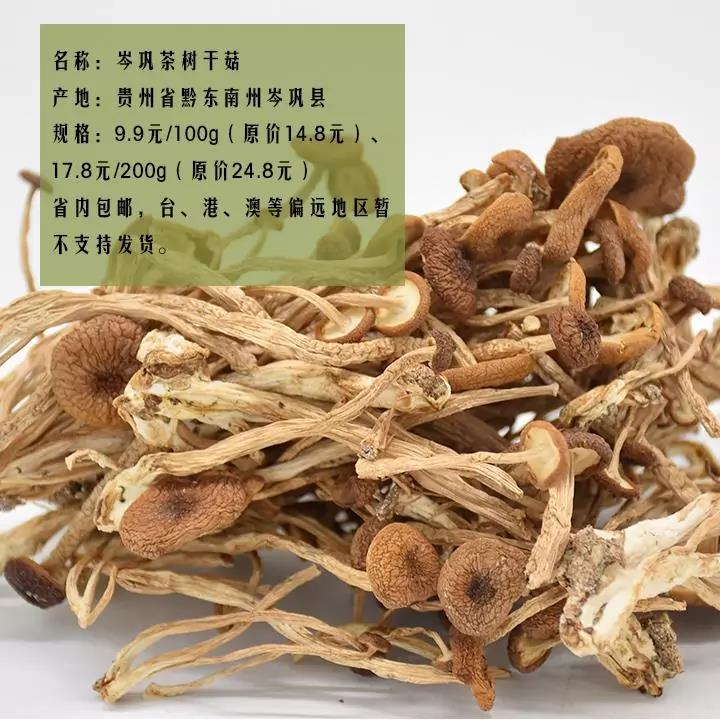 【岑巩茶树干菇·100g/200g】活动价限3千单 贵州省内包邮