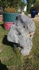 恐龙石KLS-03 商品缩略图0