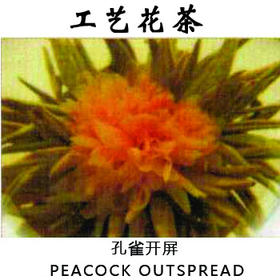 孔雀开屏工艺茶工艺花茶手工制作花茶
