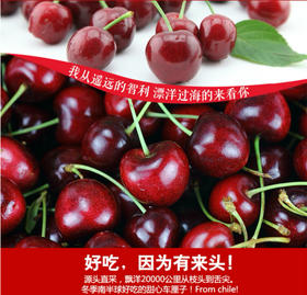 （永久下架）智利进口车厘子（2J款）