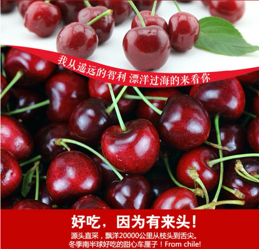 （永久下架）智利进口车厘子（2J款） 商品图0
