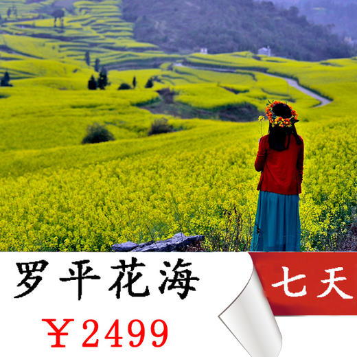 【云南罗平】昆明-元阳梯田•东川红土地•罗平花田•幻彩经典行摄之旅！ 商品图0