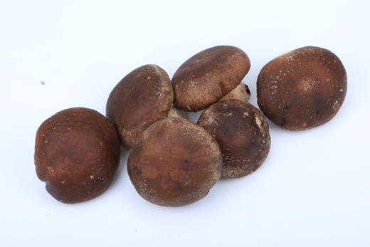 密云香菇250g 商品图0