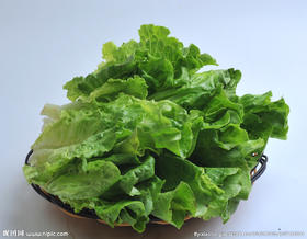 生菜（蒜茸、蚝油）