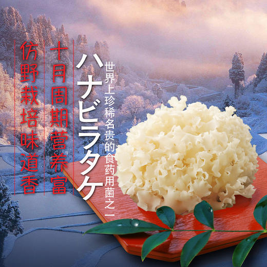 荷仙菇-H鲜品（个人装）（积分商城） 商品图1