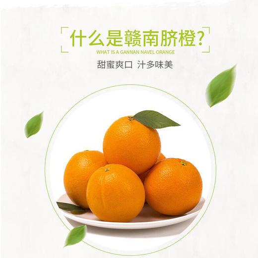 赣南鲜橙 5斤装 商品图1