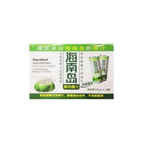 海南岛果肉椰汁（植物蛋白饮料）245ml*24