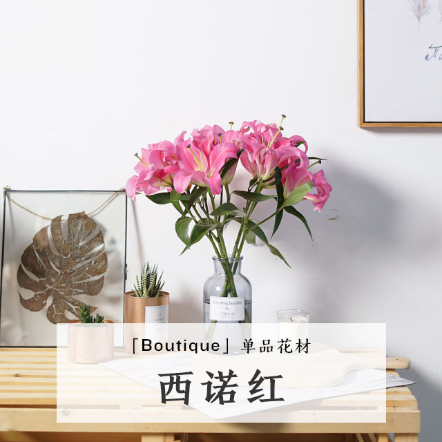「花材闪购-西诺红多头百合 三人成团 团长免费得19.9/束