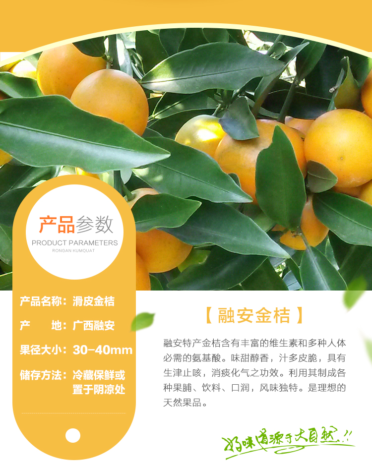 【寻鲜】融安滑皮金桔 5斤装