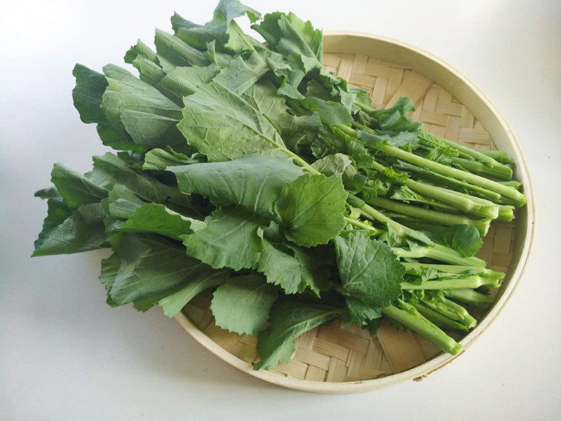 绿油菜尖 摘自油菜的嫩茎叶 颜色越深 品质越好 250g