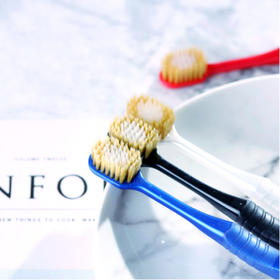 惠百施（EBISU）软毛牙刷 
 48孔41孔-分销