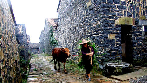 （永久下架）【预付】2018年车友年会——磐安 商品图0