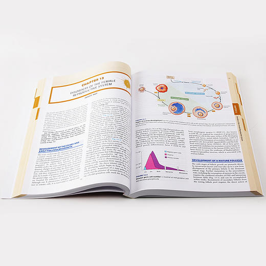 哈里森内分泌学（第4版）(英文版) 商品图1