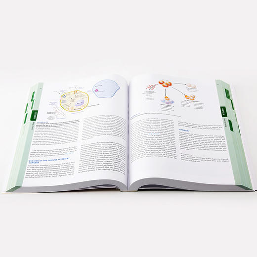 哈里森血液学与肿liu学（第3版）(英文版) 商品图1