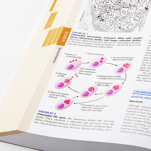 哈里森感染性疾病（第3版）（英文版） 商品图2