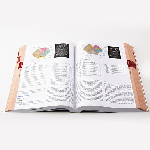 哈里森临床神经病学（第4版）(英文版) 商品图1