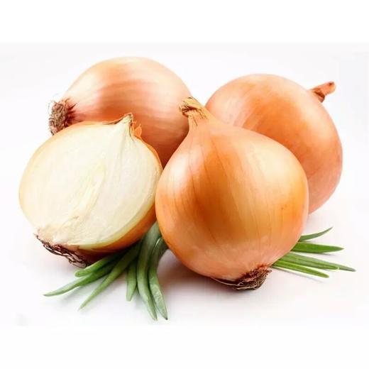 【新鲜】蔬菜 白葱头 洋葱 1000g/份多退少补1.5元/斤） 商品图0
