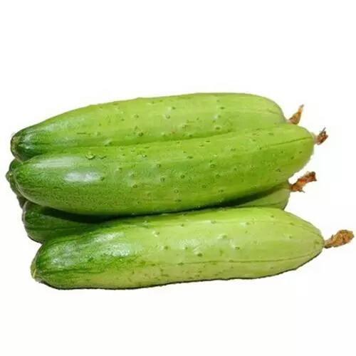【促销】蔬菜 白黄瓜 旱黄瓜 约500g/份称重多退少补 商品图0