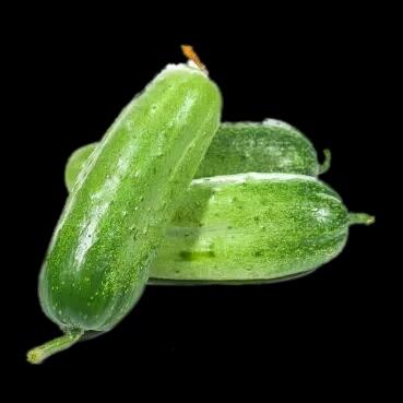 【促销】蔬菜 白黄瓜 旱黄瓜 约500g/份称重多退少补 商品图1