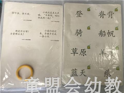 洪恩幼儿阅读 中国文史出版社 商品图2