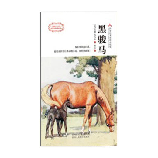 黑骏马 商品图1